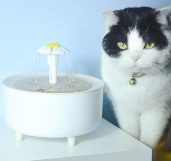 CROWN Pets Water Fountain