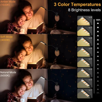 CROWN LED Table Lamp