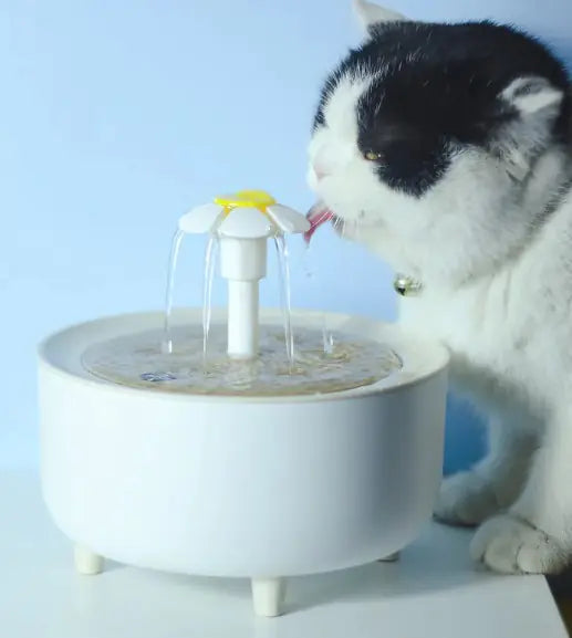 CROWN Pets Water Fountain