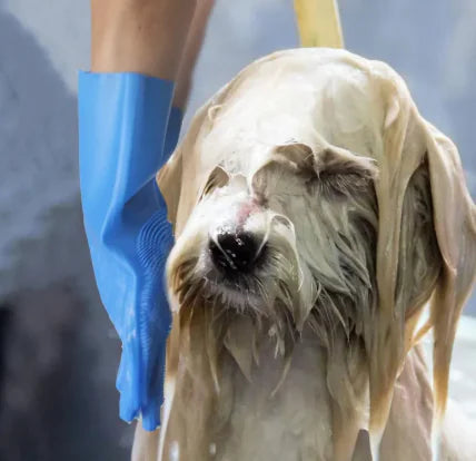 CROWN Pet Grooming Gloves